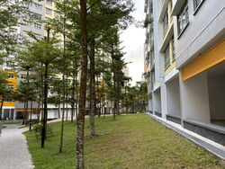 Blk 490D Sunshine Gardens (Choa Chu Kang), HDB 5 Rooms #500047181